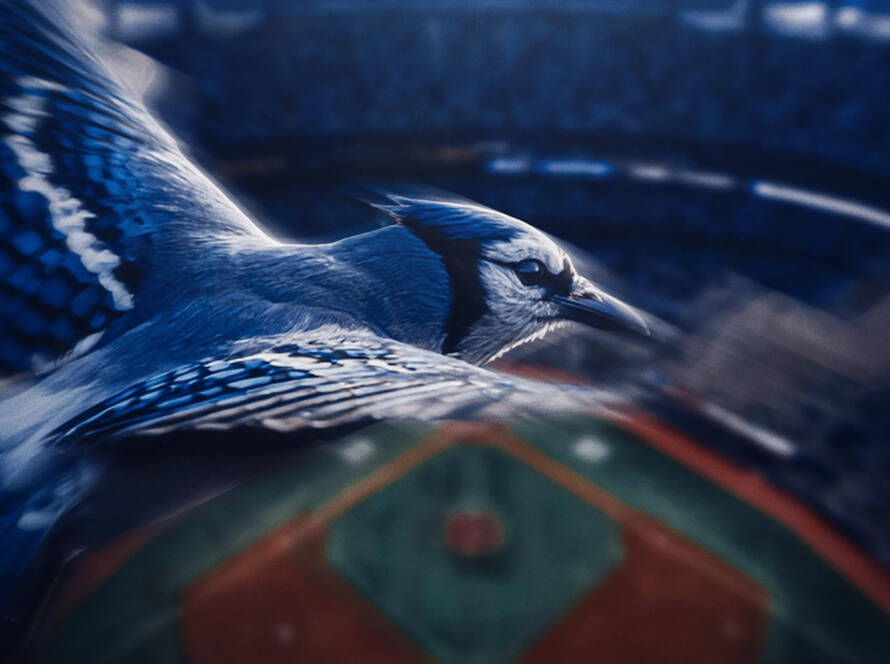 Toronto Blue Jays Live at Notorious Grey Fox